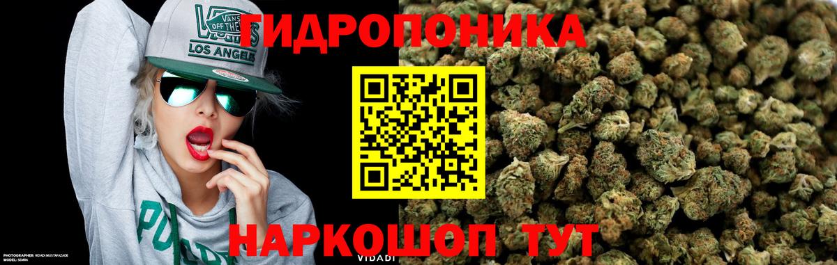 Каннабис White Widow  Вход с VPN  Конопля планчик  Миллерово  Канабис SATIVA & INDICA  Бошки Шишки Amnesia 